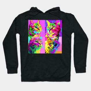 Domestic Shorthair Pop Art - Cat Lover Gift Hoodie